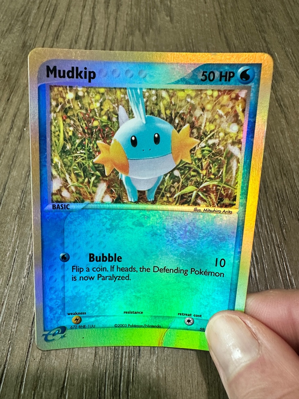 Mudkip  Pokémon Card - Halo - Picture 6 of 6